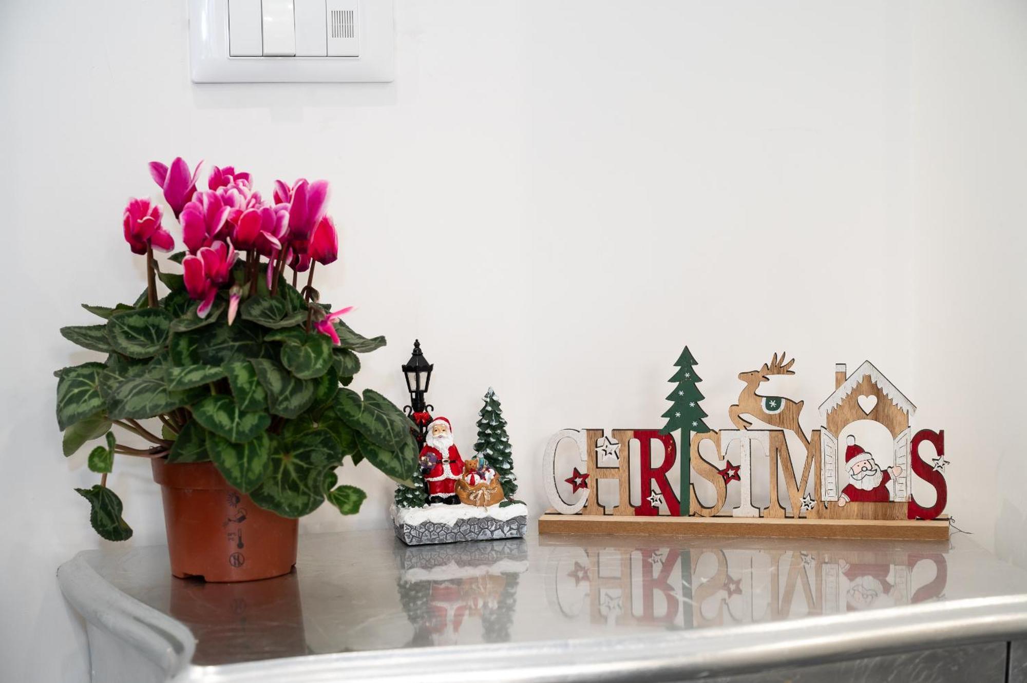 St. Peter Boutique Apt Rome Luaran gambar